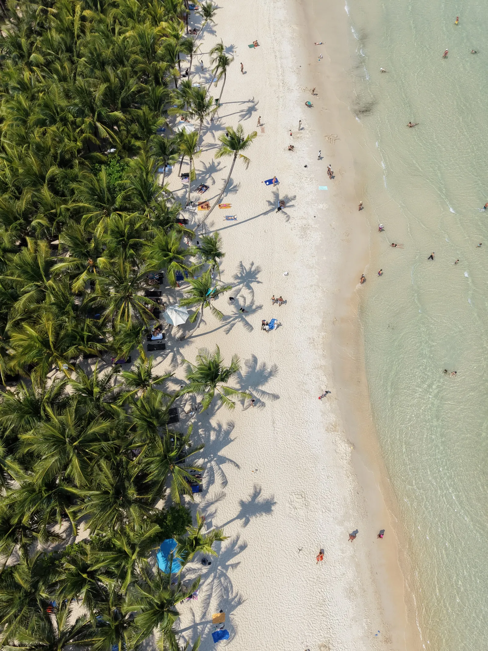 Drone shot