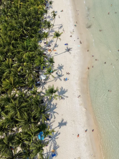 Drone 4:5